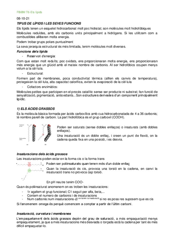Miniatura del documento BIO-T6-Els-lipids.pdf