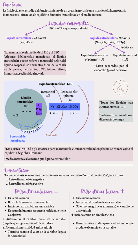 Miniatura del documento Introduccion-a-la-fisiologia.pdf