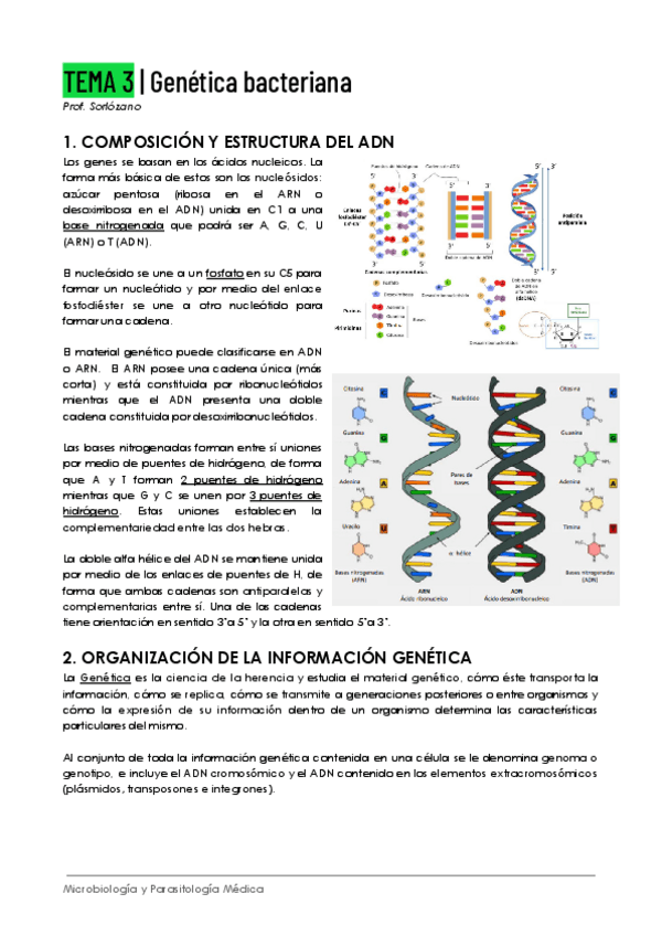 Miniatura del documento Tema-3-Genetica-Bacteriana.pdf