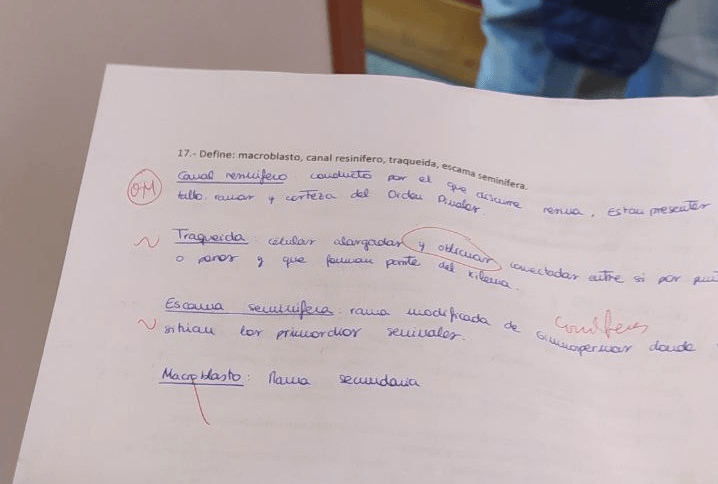 Miniatura del documento 2do-parcial-bot-3.jpg