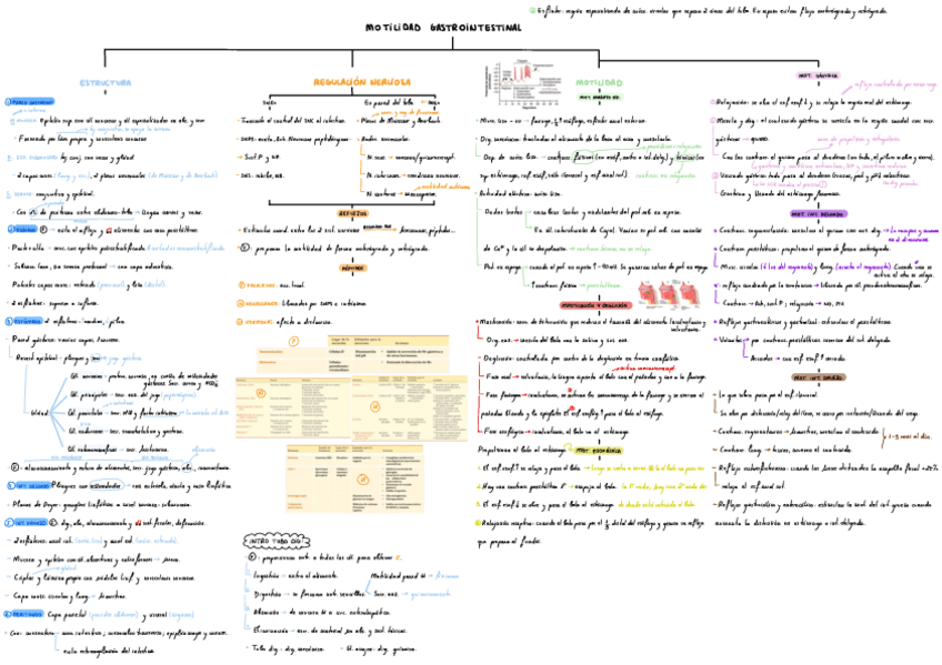 Miniatura del documento T8-Motilidad-Gastrointestinal-.pdf