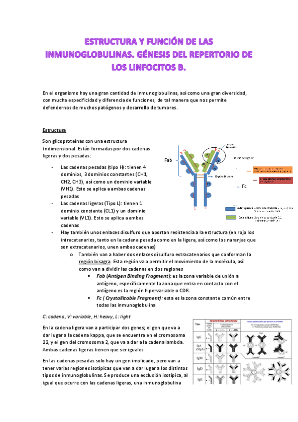 Miniatura del documento Tema-3. Inmunoglobulinas