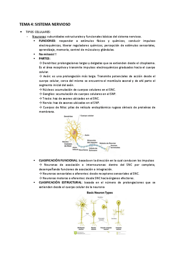 Miniatura del documento TEMA-4.pdf