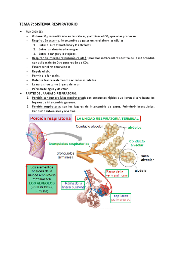 Miniatura del documento TEMA-7.pdf