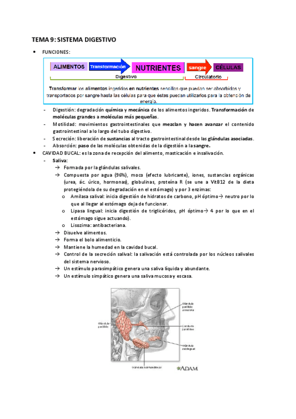 Miniatura del documento TEMA-9.pdf