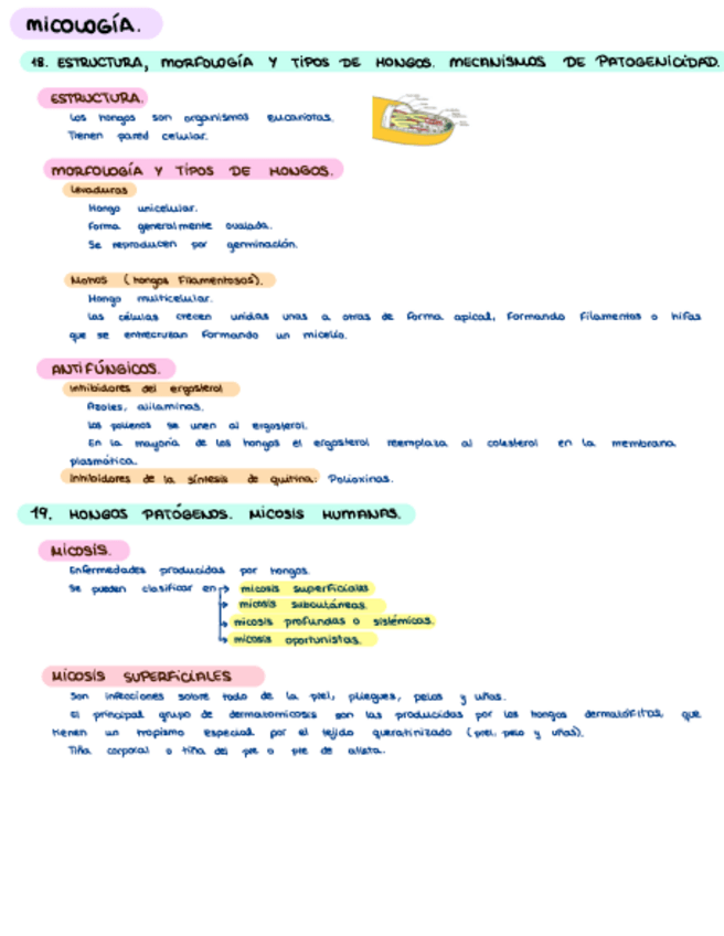 Miniatura del documento Micologia-y-Parasitologia.pdf