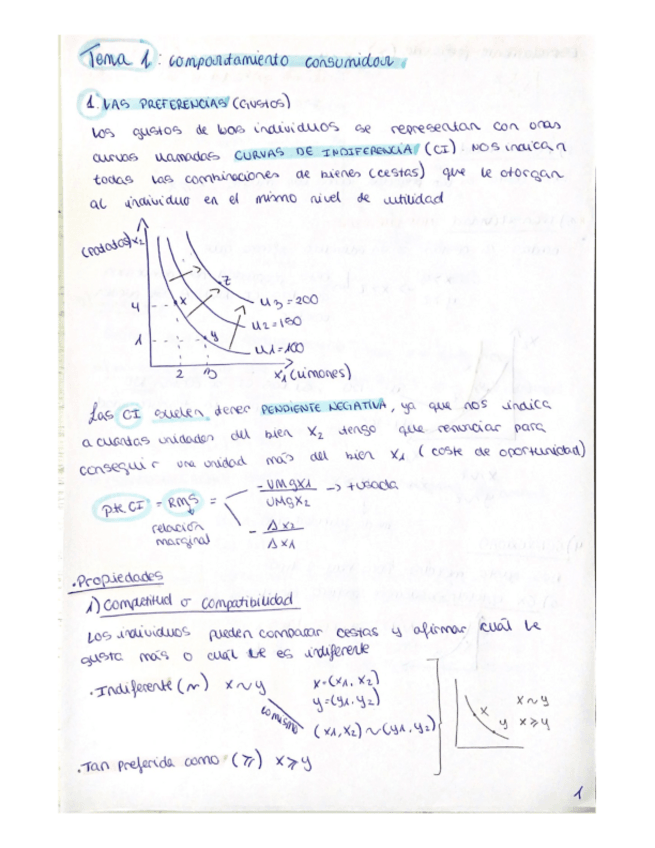 Miniatura del documento TEMA-1.pdf