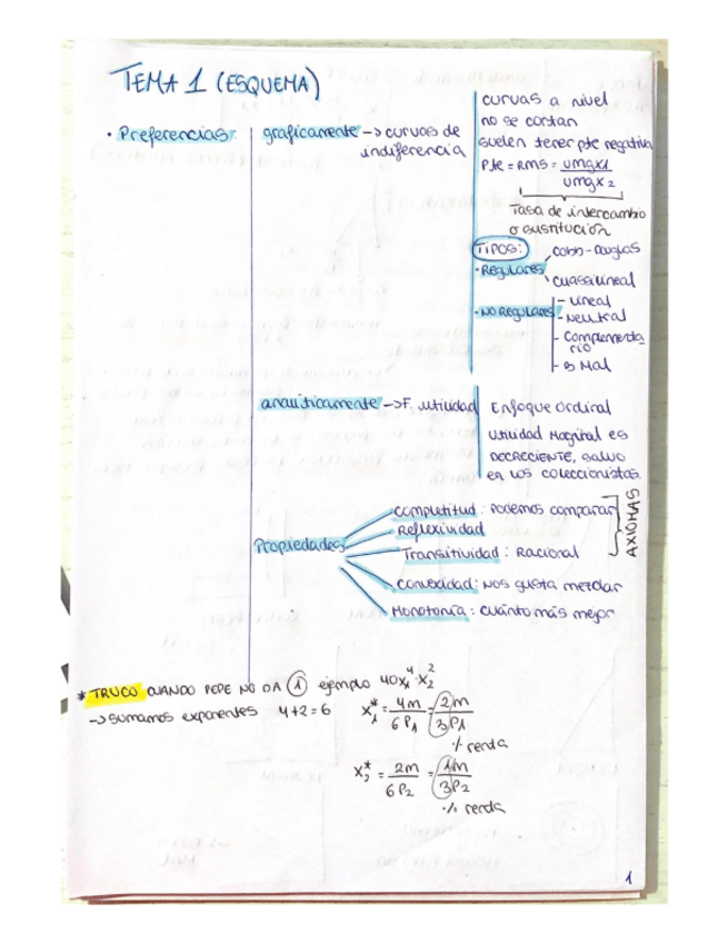Miniatura del documento ESQUEMA-TEMA-1.pdf
