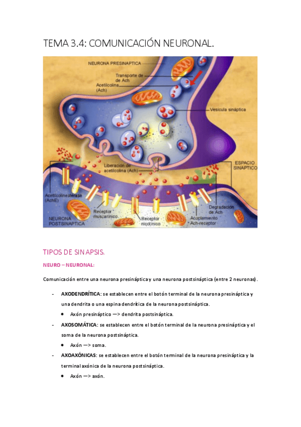 Miniatura del documento t-3.pdf