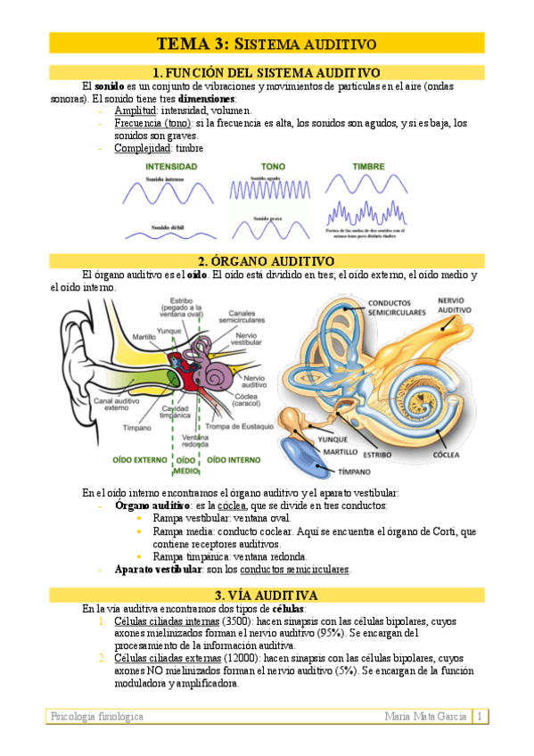 Miniatura del documento TEMA-3.pdf
