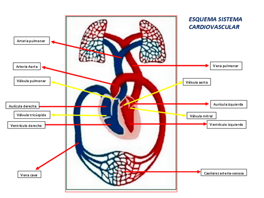Miniatura del documento PDF-LAMINAS.pdf