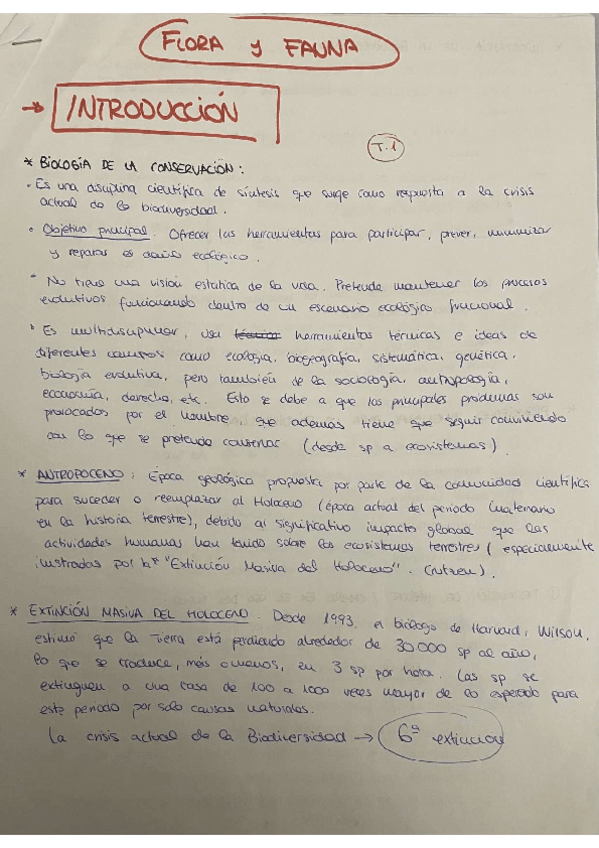 Miniatura del documento INTRODUCCION.pdf