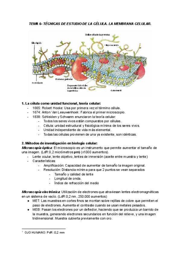 Miniatura del documento TEMA-6.pdf