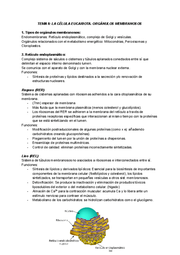 Miniatura del documento TEMA-8.pdf