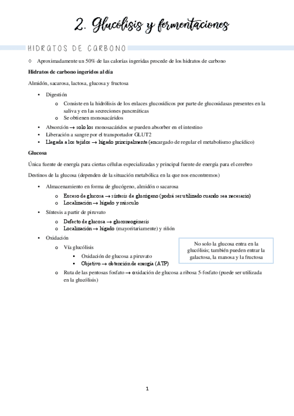 Miniatura del documento Bloques II y III hidratos de carbono