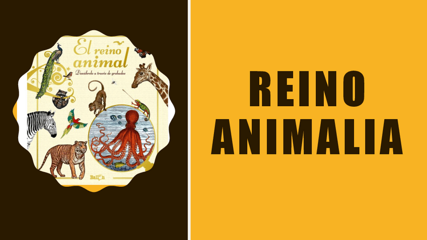 Miniatura del documento Presentacion-Reino-Animal.pdf