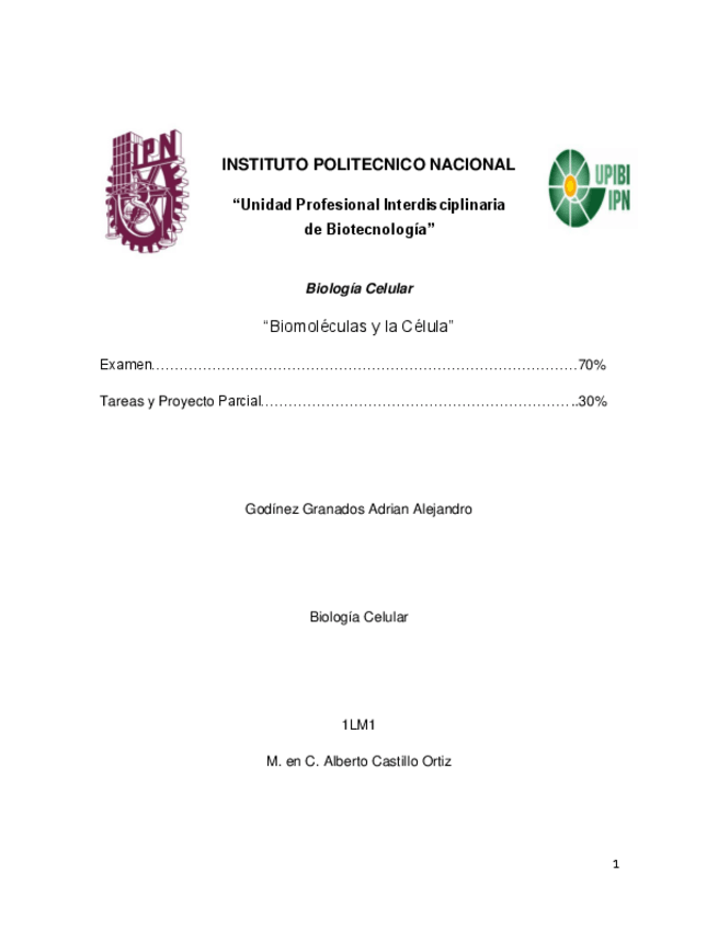 Miniatura del documento ProyectoParcial-UNO.pdf