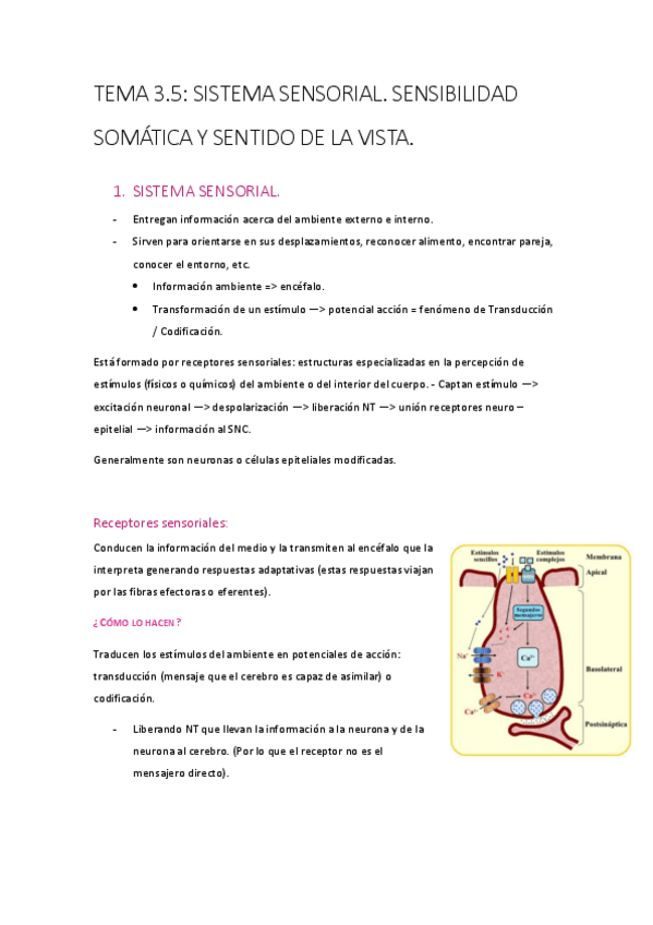 Miniatura del documento T-3.pdf