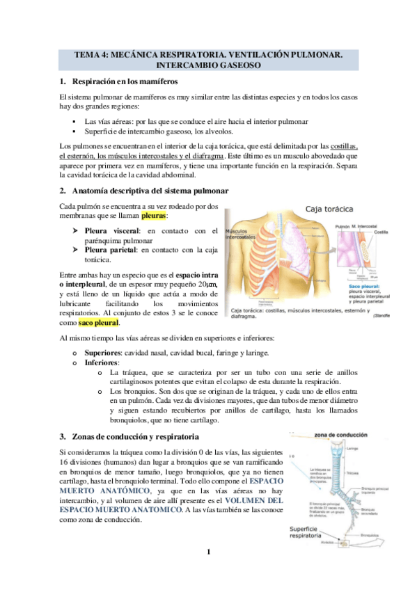 Miniatura del documento TEMA-4-MECANICA-RESPIRATORIA.pdf