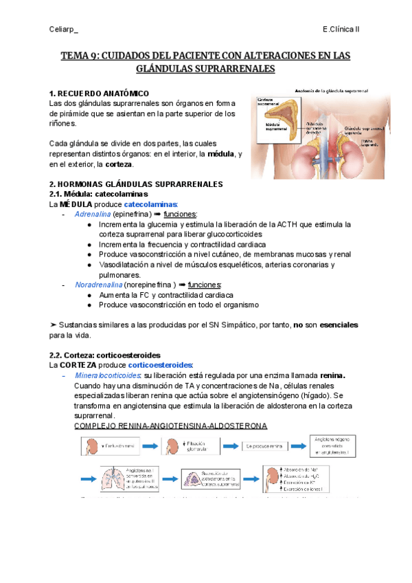 Miniatura del documento TEMA-9-CUIDADOS-DEL-PACIENTE-CON-ALTERACIONES-EN-LAS-GLANDULAS-SUPRARRENALES.pdf