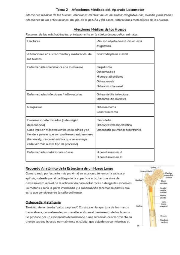 Miniatura del documento Tema-2-Apuntes.pdf