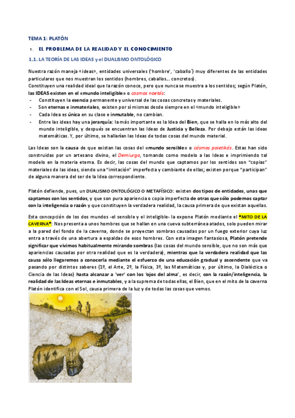 Miniatura del documento PLATON.pdf