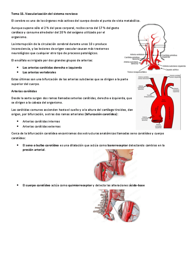 Miniatura del documento Tema-11.pdf
