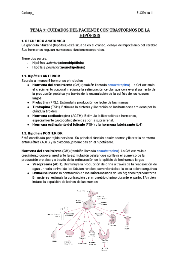 Miniatura del documento TEMA-7-CUIDADOS-DEL-PACIENTE-CON-TRASTORNOS-DE-LA-HIPOFISIS.pdf