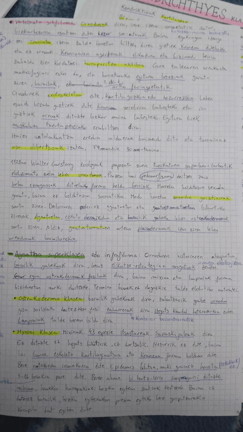 Miniatura del documento IMG-20180518-WA0036.jpg