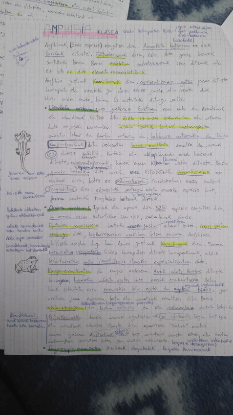 Miniatura del documento IMG-20180518-WA0031.jpg