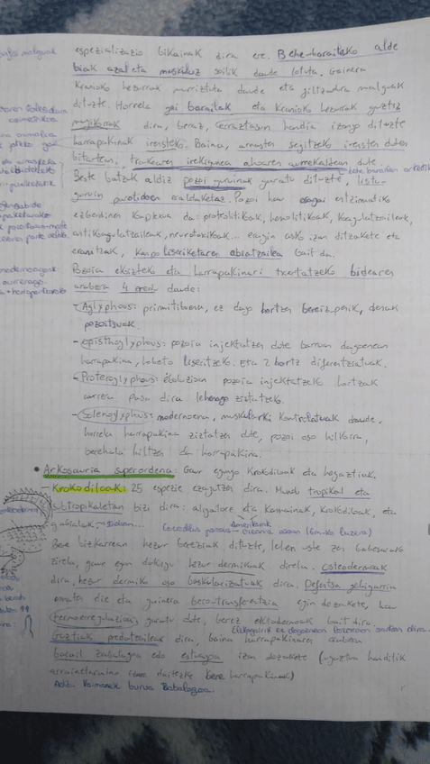 Miniatura del documento IMG-20180518-WA0038.jpg