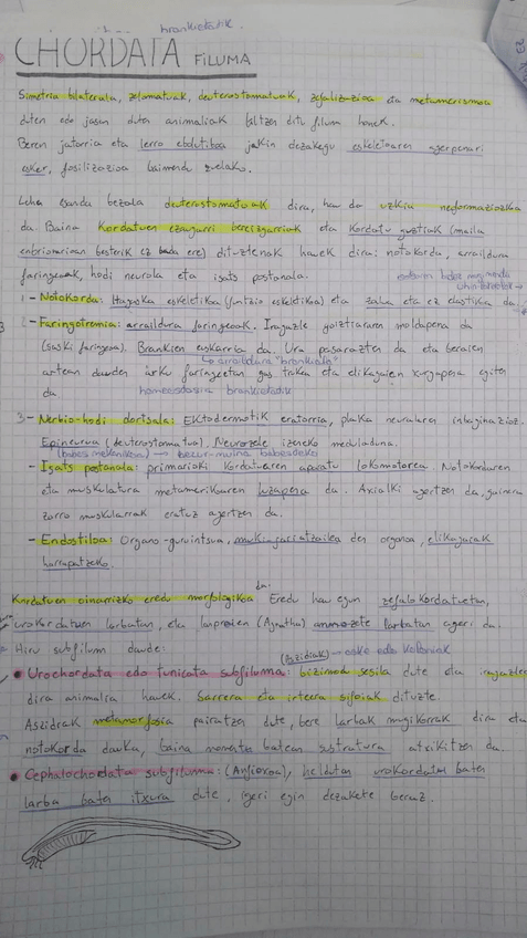 Miniatura del documento IMG-20180518-WA0041.jpg