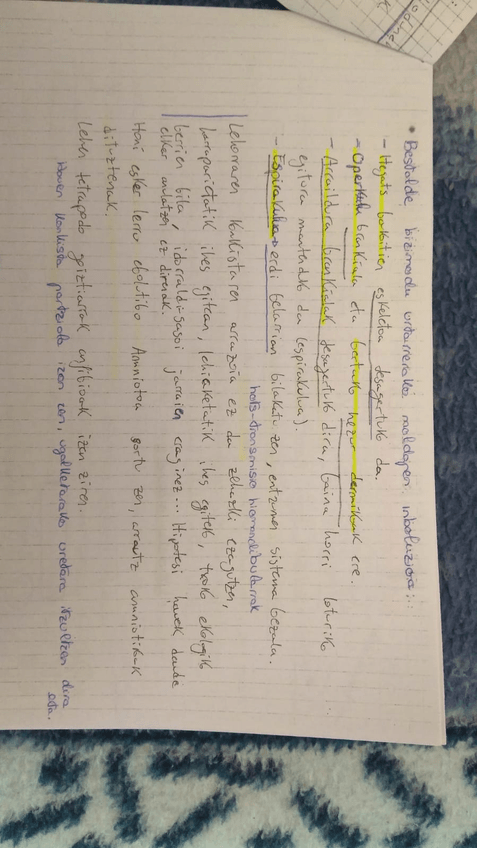 Miniatura del documento IMG-20180518-WA0037.jpg