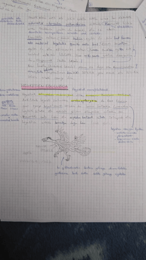 Miniatura del documento IMG-20180518-WA0040.jpg