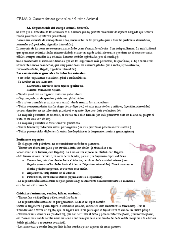 Miniatura del documento TEMA-2.pdf