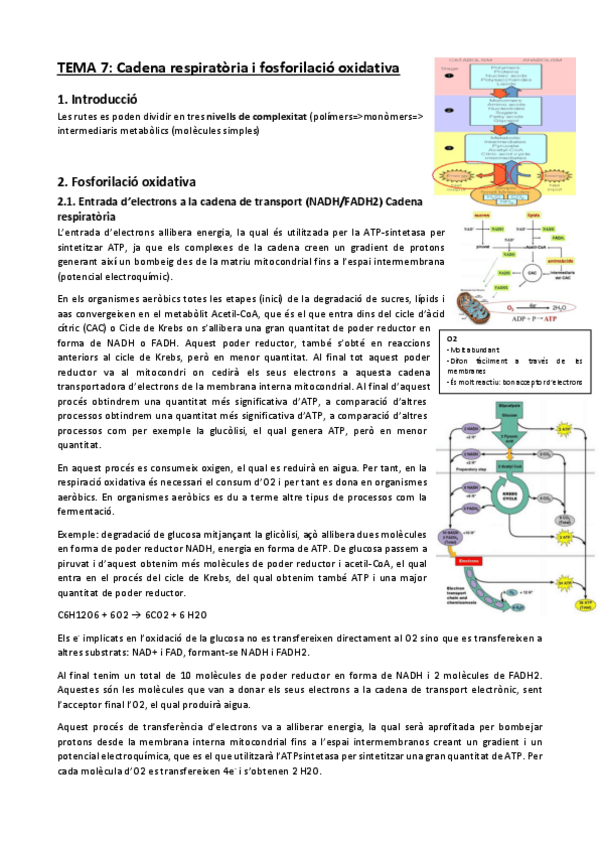 Miniatura del documento Tema-7.pdf