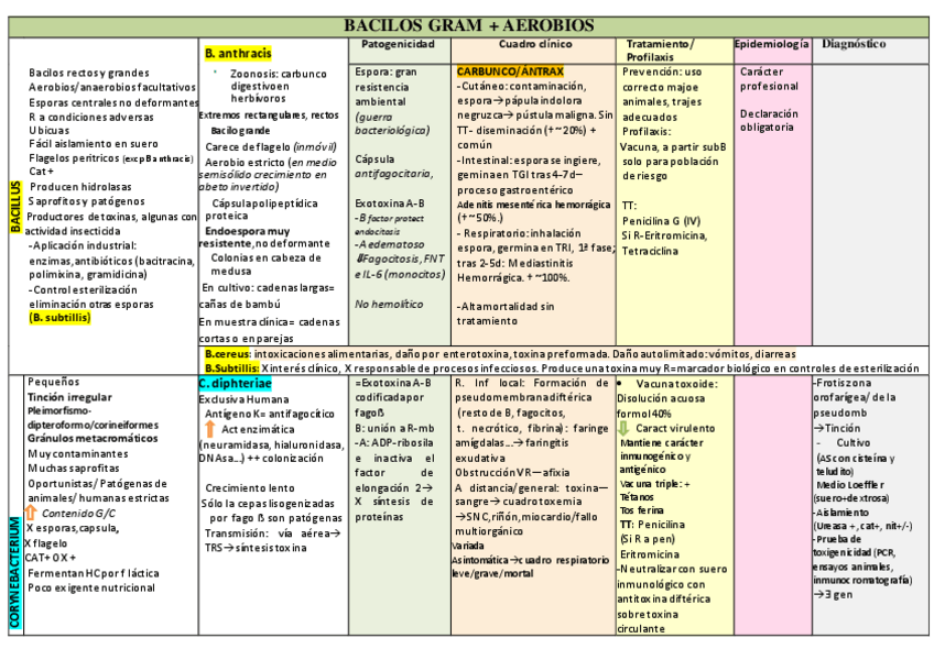 Miniatura del documento R11.pdf