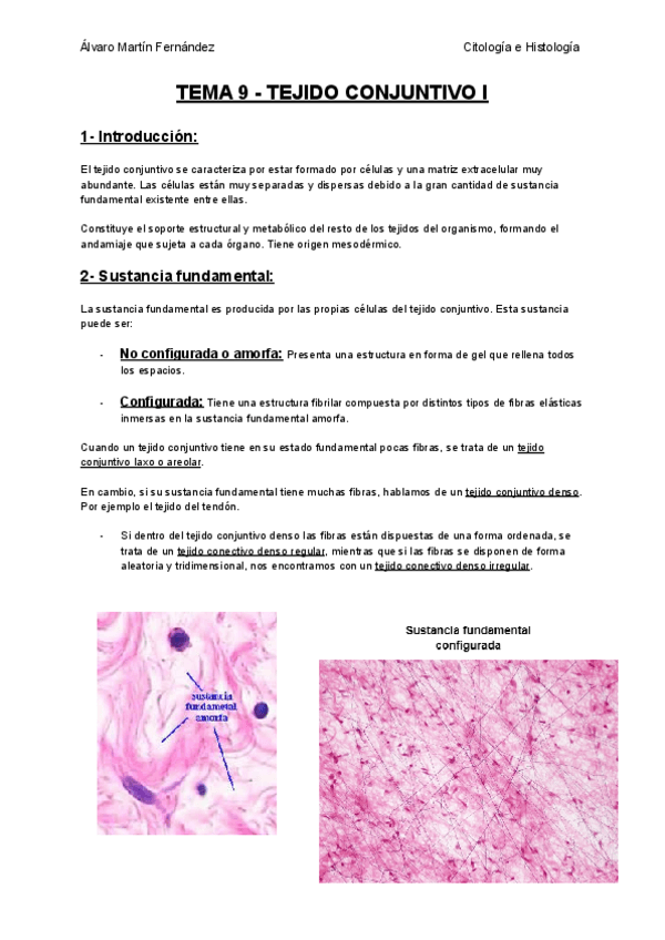 Miniatura del documento TEMA-9-TEJIDO-CONJUNTIVO-I.pdf