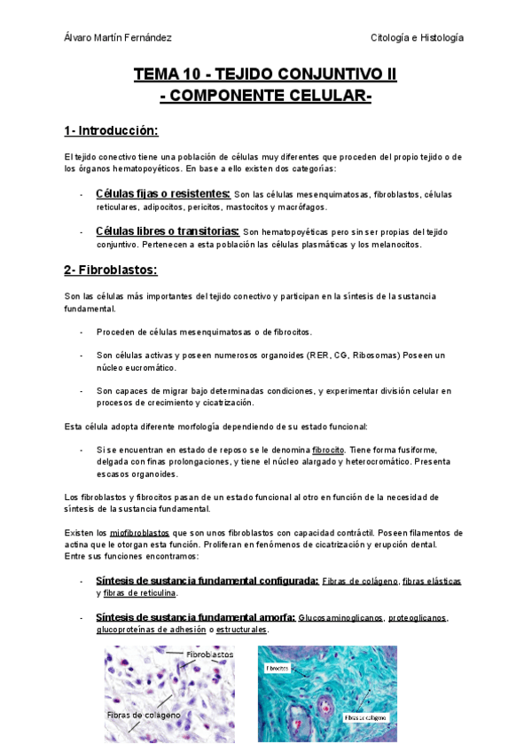 Miniatura del documento TEMA-10-TEJIDO-CONJUNTIVO-II-COMPONENTE-CELULAR.pdf