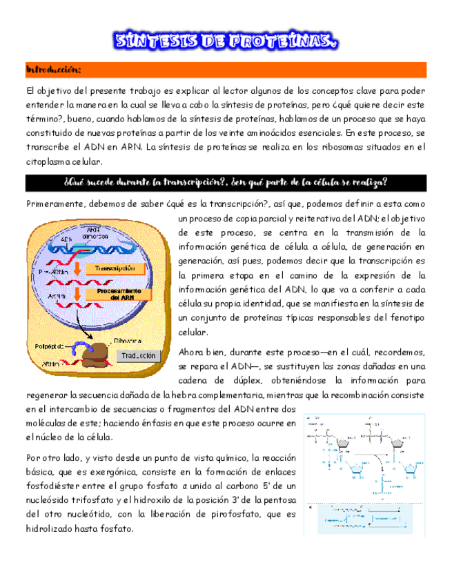 Miniatura del documento SINTESIS-DE-PROTEINAS.pdf
