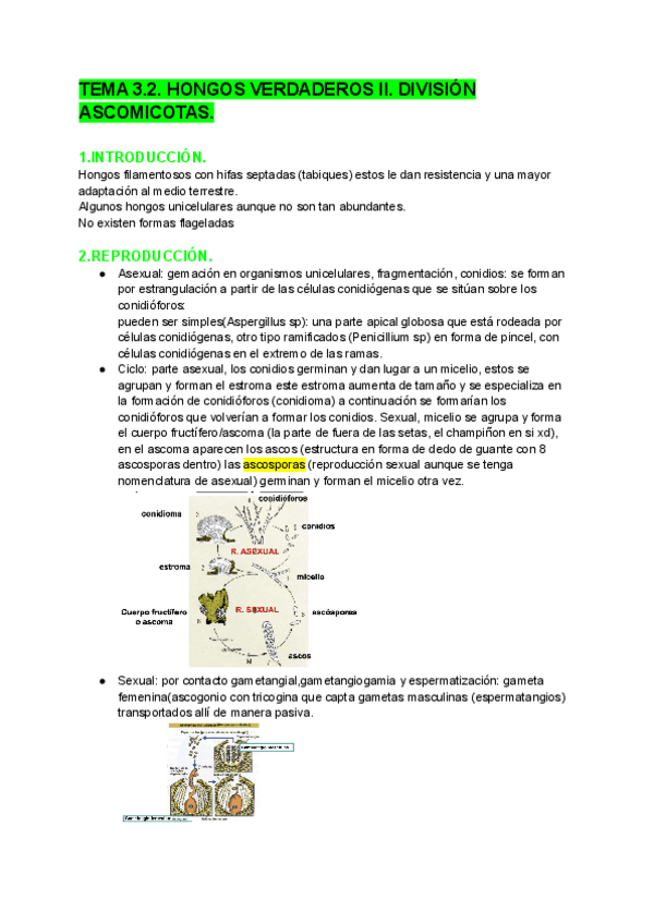 Miniatura del documento TEMA-3.pdf