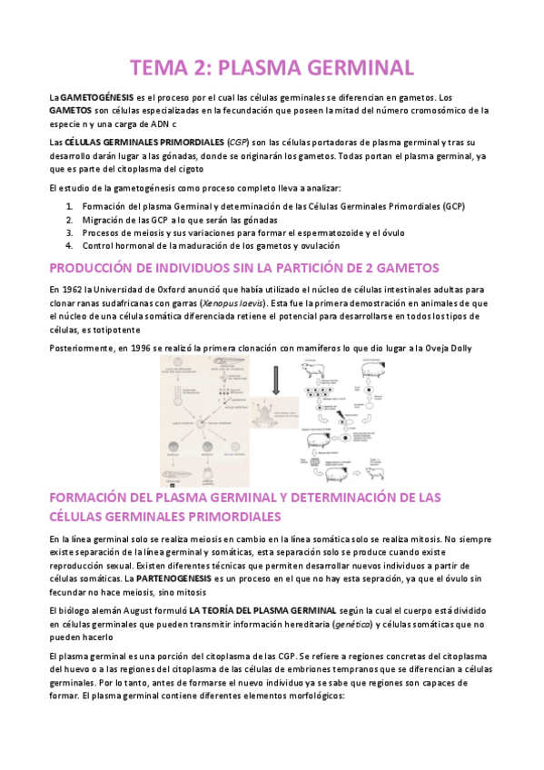 Miniatura del documento TEMA-2-EMBRIOLOGIA.pdf