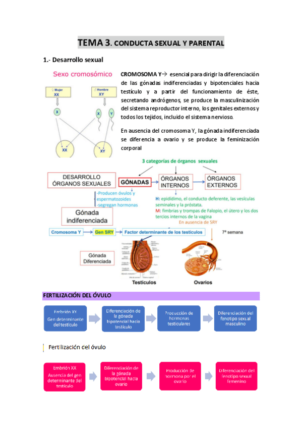 Miniatura del documento TEMA-3-Conducta-sexual-y-parental.pdf