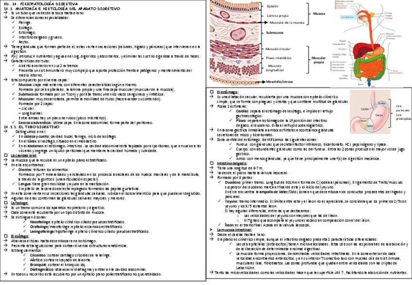 Miniatura del documento TEMA-10.pdf