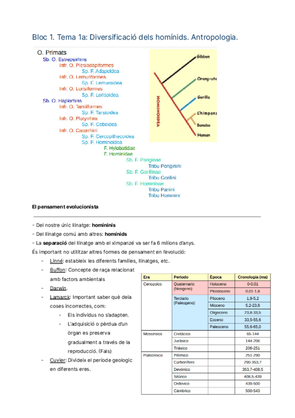 Miniatura del documento Bloc-1-antropologia.pdf