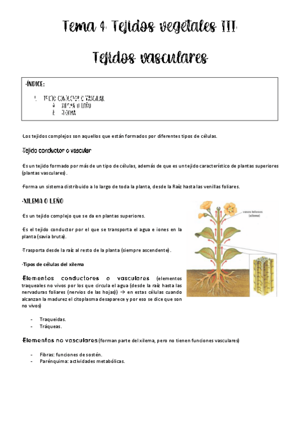 Miniatura del documento tema-4-vegetal.pdf