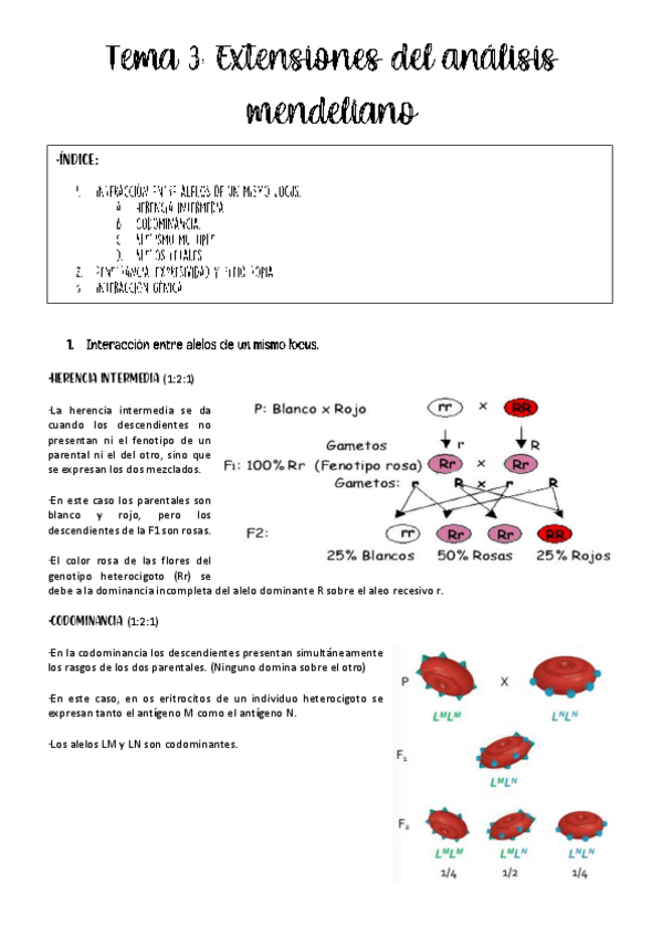 Miniatura del documento tema-3-genetica.pdf