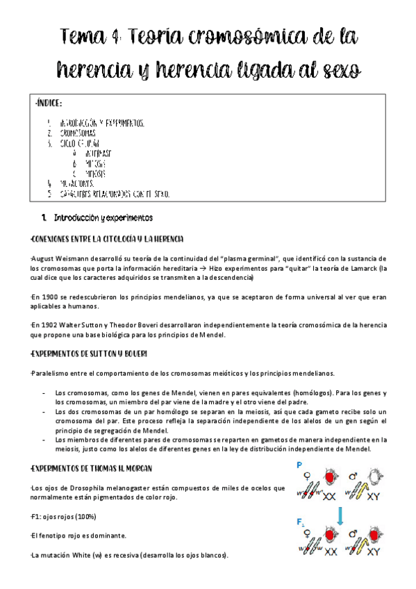 Miniatura del documento tema-4-genetica.pdf