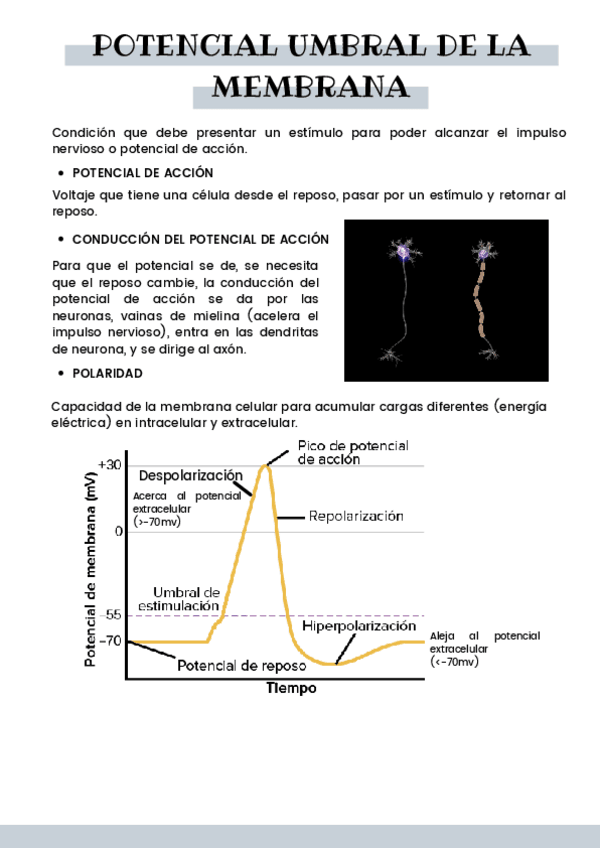 Miniatura del documento POTENCIAL-UMBRAL-DE-LA-MEMBRANA.pdf