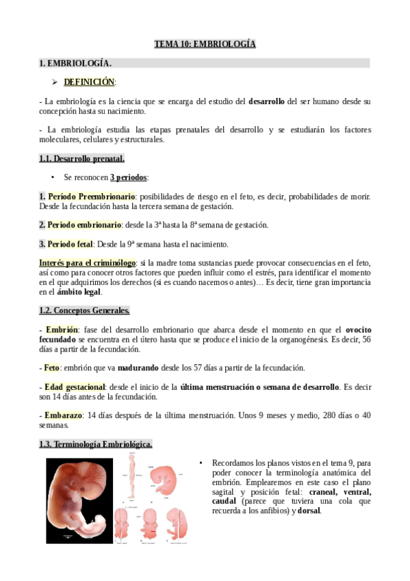 Miniatura del documento Tema-10.pdf